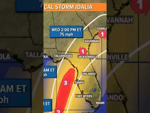 Tropical Storm Idalia heads to Gulf of Mexico #tropicalupdate #weather #tropicalwave #storm