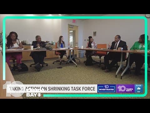 Vice-chair takes action on shrinking African American History Task Force