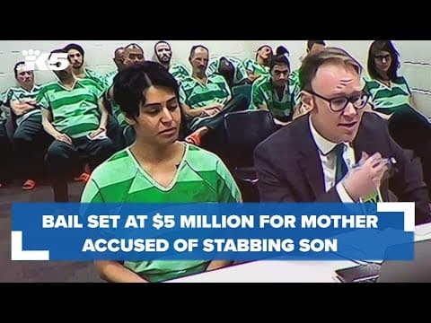Bail set at $5 million for mother accused of stabbing 4-year-old more than a dozen times