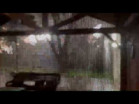 RAW: Dallas power lines sparking in severe weather