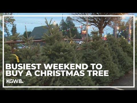 Portland Christmas tree lot gears up for busy weekend