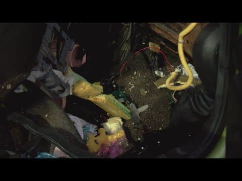 Bear destroys car, eats Valentine's Day candy