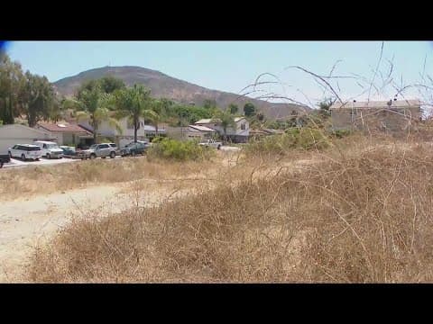 Overgrown weeds creating more fire hazards on city owned land in San Diego