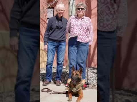 New Summit County Sheriffs Office K9 Dog