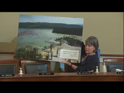 BWCA mining ban clears key committee