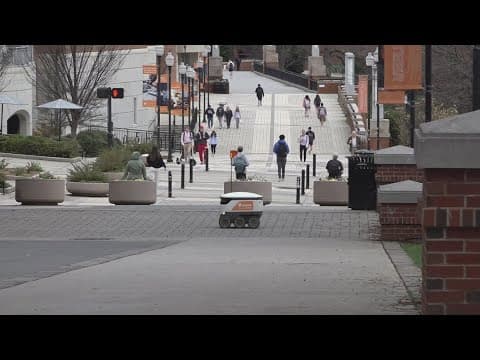 Visa status reactivated for 4 University of Tennessee students