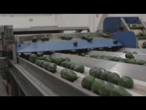 Economists expect Trump's tariffs to hit grocery prices first