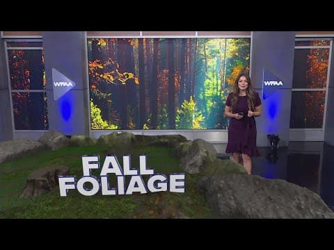 Where's the fall foliage in North Texas?