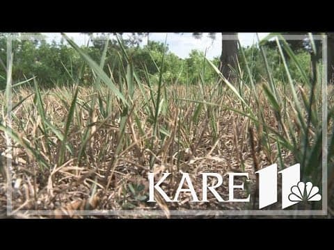 Parts of Minnesota in extreme drought conditions