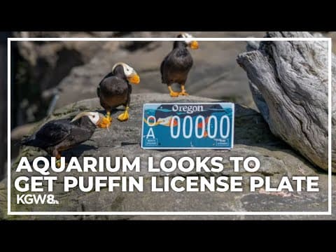 Oregon Coast Aquarium halfway to goal for new puffin license plate