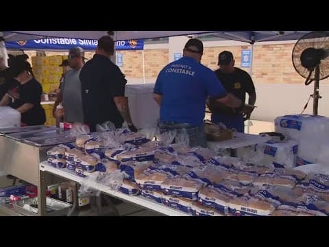 Harris County Pct. 6 Constable's Office hosts benefit for mother killed in Houston storm