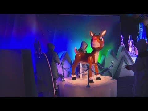 Grapevine's Gaylord Texan Resort opens this year's ice attraction