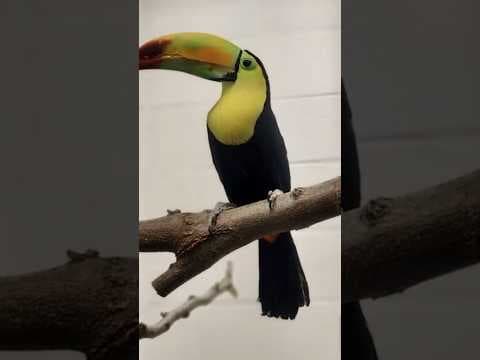 Denver Zoo acquires 130 animals from now closed Colorado SeaQuest aquarium