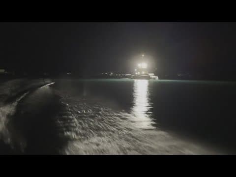 Cruise ship rescues passengers, pets from catamarran