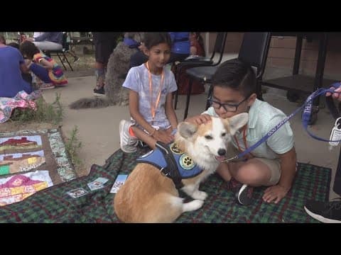 Kids with cancer enjoy free camp | Celebrating 40th year