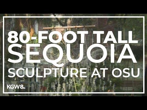 80-foot-tall sequoia sculpture at OSU to evoke changing climate threat