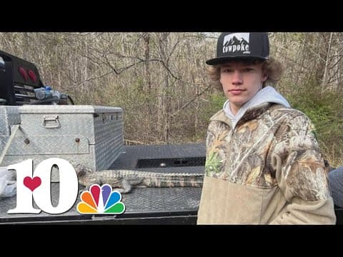 'See you later, alligator' | East Tennessee woman takes alligator on 700-mile road trip