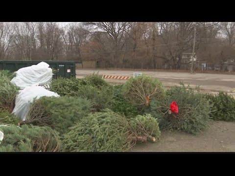 You can dispose of Christmas trees at these Indy Parks locations through Jan. 31