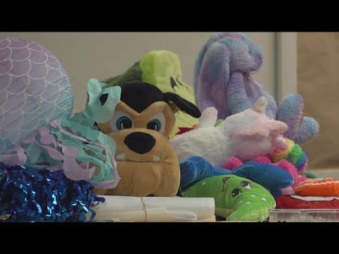 Nearly 800 items returned to the lost and found at San Diego County Fair