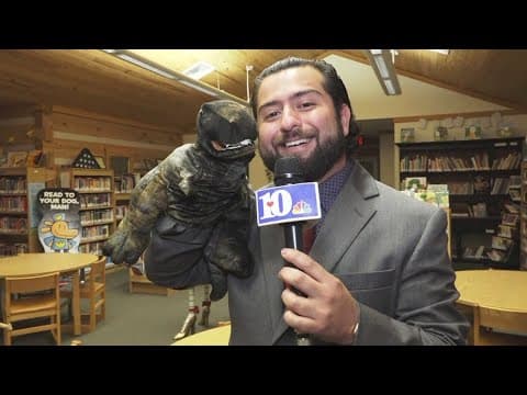 Cool Schools: Check out the Tate's School library!