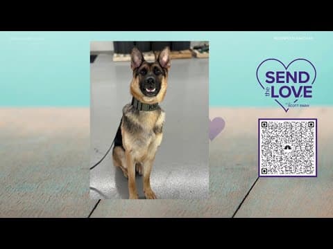 Redemption Ranch K9 | Send the Love