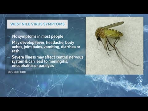 West Nile virus cases