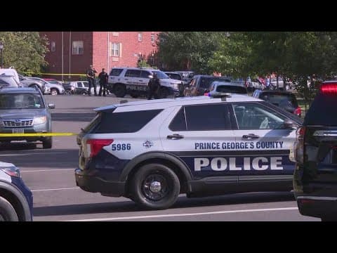 Person in custody after Mount Rainier incident