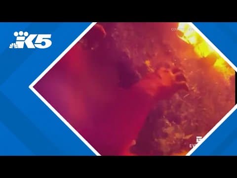 Everett police rescue man from burning vehicle