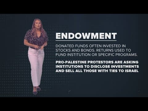 The Breakdown: What does divesting in Israel mean for universities?
