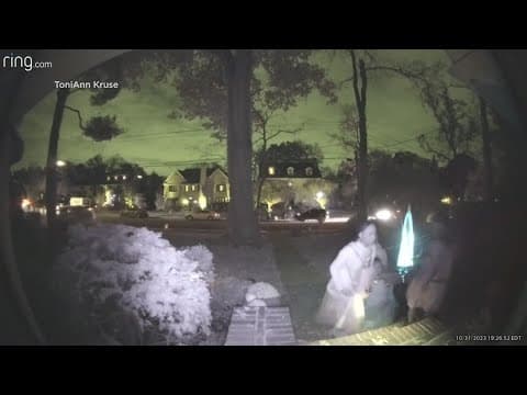 Trick-or-treaters thought family's grocery delivery was up for grabs!