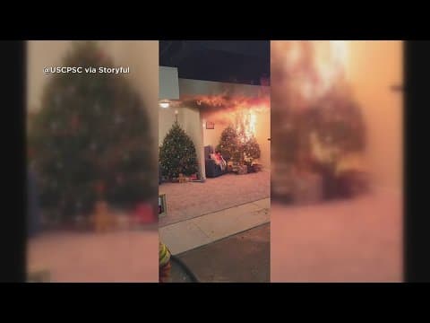 Consumer Alert: Don't forget to water your Christmas tree