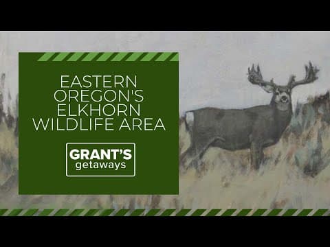 Artist captures breathtaking wildlife scenes in Eastern Oregon