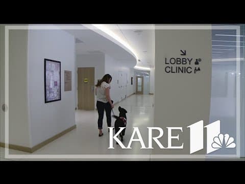 Meet Jersey, the newest face at Masonic Institute