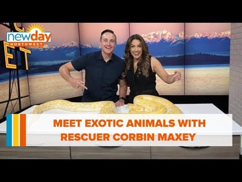Meet exotic animals with rescuer Corbin Maxey!  - New Day NW