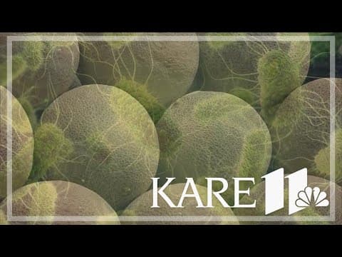 MN leads nation in salmonella cases linked to cantaloupe