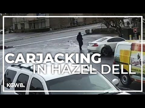 CAUGHT ON VIDEO: Man fights suspect trying to steal his car in Vancouver