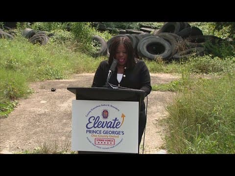 Strike Force 311 in Prince George's Co.