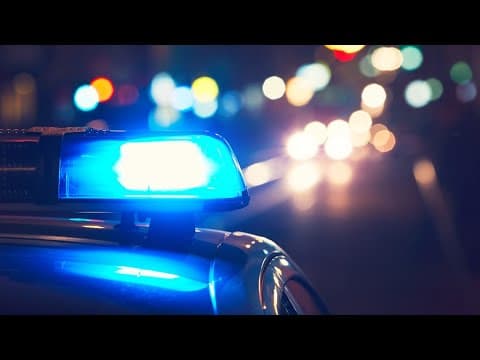 WATCH: Police in Fairfax County announce arrest of 10 alleged child predators