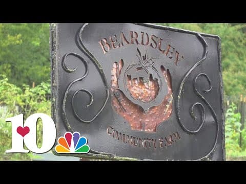 Beardsley Community farmer speaks on how the rain is affecting her crops