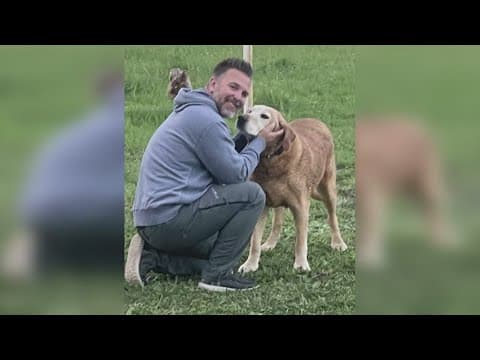 City of Denton animal service policies under review