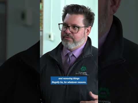 If you saw anyone cutting trees in the area, the MPRB asks that you call (612) 230-6550.