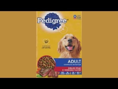 Pedigree recalls hundreds of bags of dog food for 'loose metal pieces'
