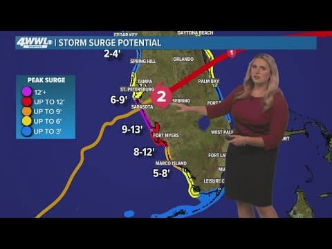 Wednesday 10pm Tropical Update: Worst of storm surge expected from Sarasota to Fort Myers