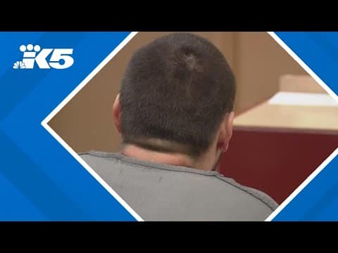 Pierce County deputies arrest suspect in Lego burglary