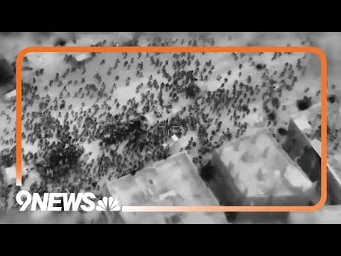 Israel-Hamas War: 100 Killed While Waiting for Food at Aid Trucks in Gaza