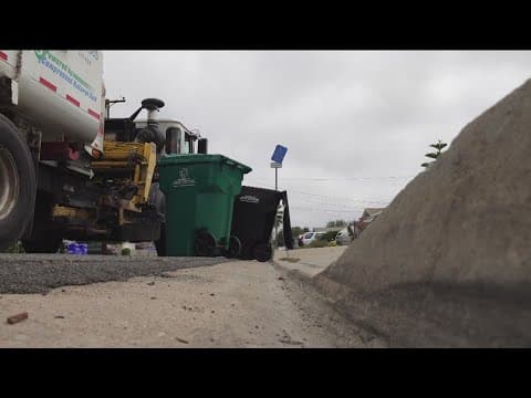 Flies around your trash bin bugging you? Experts offer tips