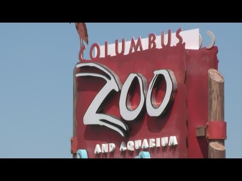 Security expert weighs in, offers advice on Columbus Zoo situation