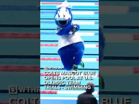 Colts mascot Blue opens the pool at the Olympic Team Trials - Swimming in Indianapolis