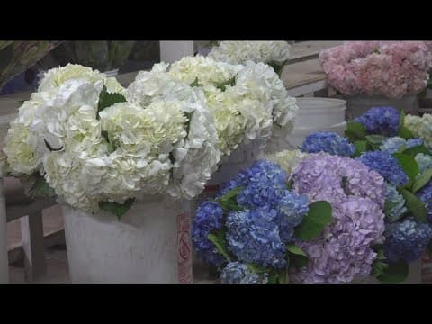Mother's Day spending remains strong despite economic concerns