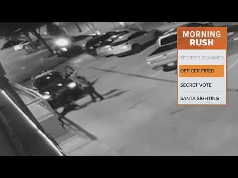 Police officer fired after using excessive force